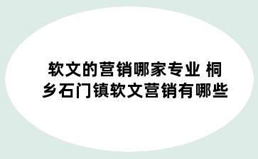 软文的营销哪家专业 桐乡石门镇软文营销有哪些